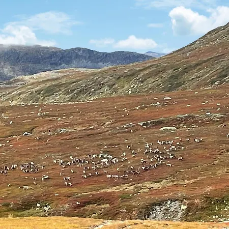 بيت للعطل 4 Bedroom Stunning In *