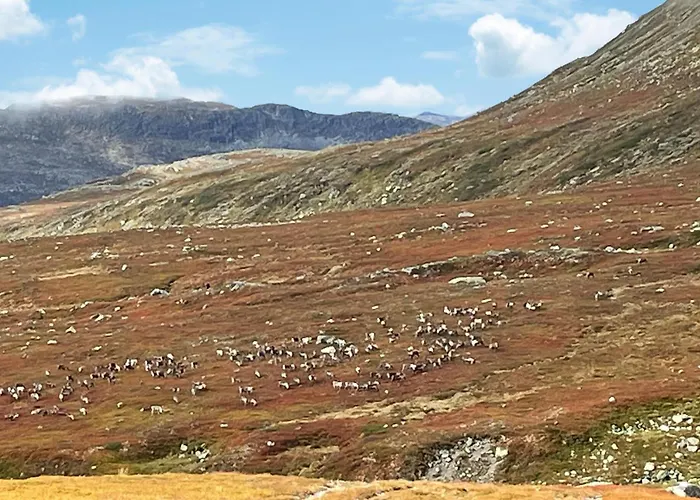 Semesterbostad 4 Bedroom Stunning In *